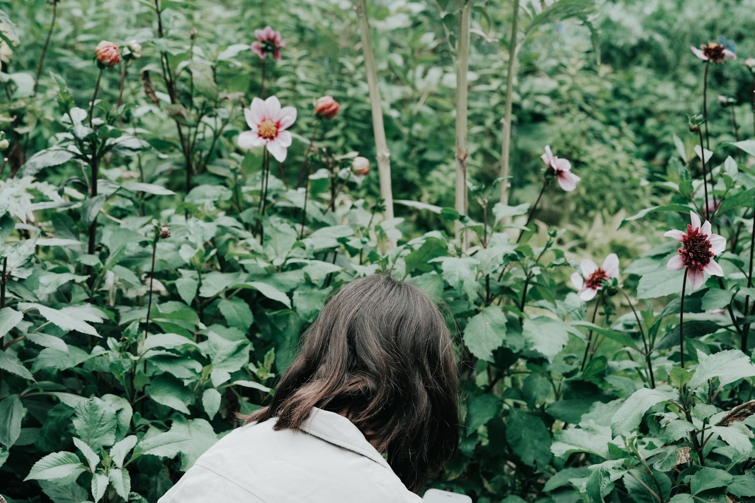 Ancestral Knowledge: A Path to Sustainability